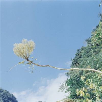 金沙官方版下载